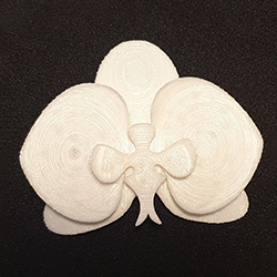 broche orchidée